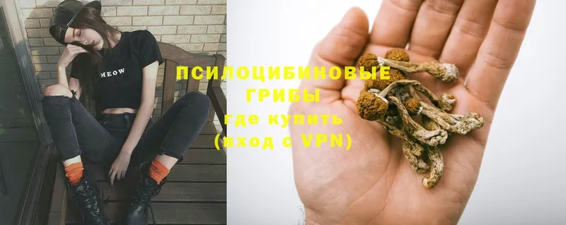 Псилоцибиновые грибы GOLDEN TEACHER  Анжеро-Судженск 